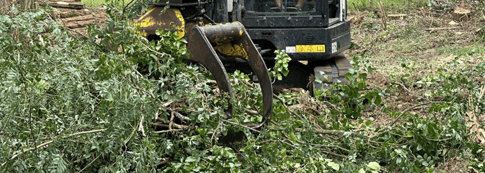 débroussaillage et broyage de branches à hossegor